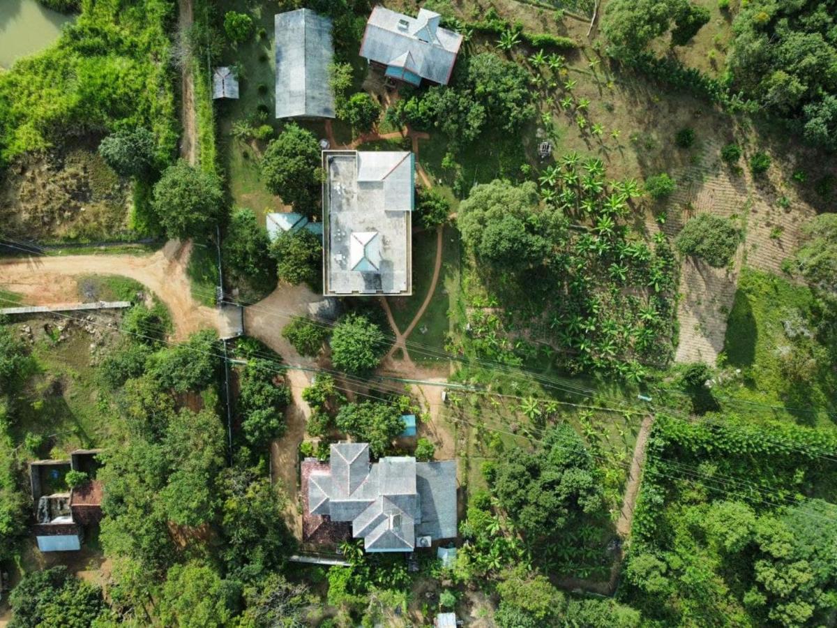 Green Hut Nature Resort Сігірія Екстер'єр фото